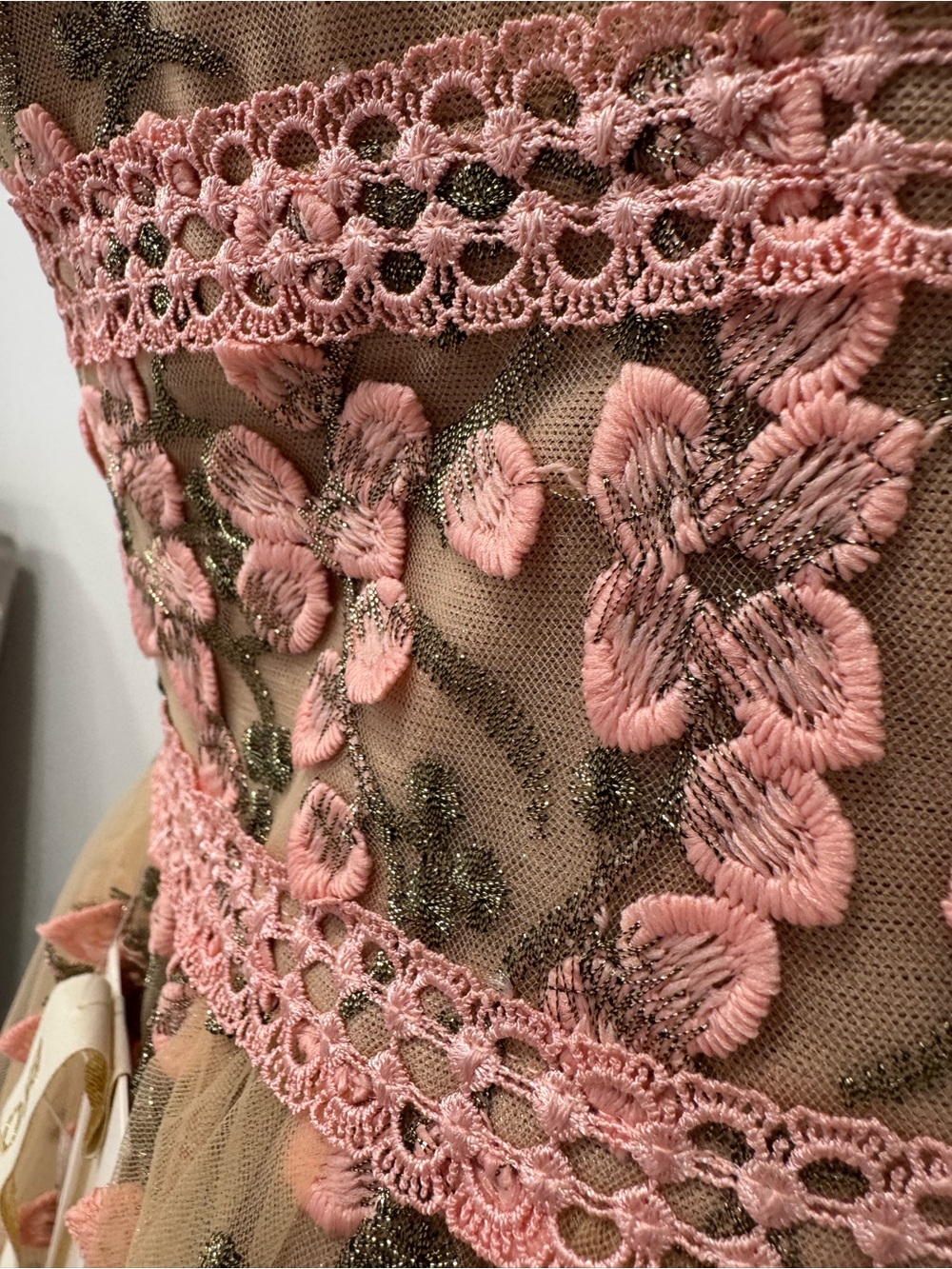 Bronx and Banco Megan Floral Embroidered A-Line Maxi Dress - Picture 7 of 15